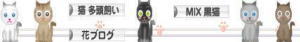 ☆にほんブログ村　猫ブログ　猫　多頭飼い mix黒猫　花ブログへ☆