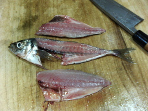 魚料理と簡単レシピ 魚のおろし方 ２