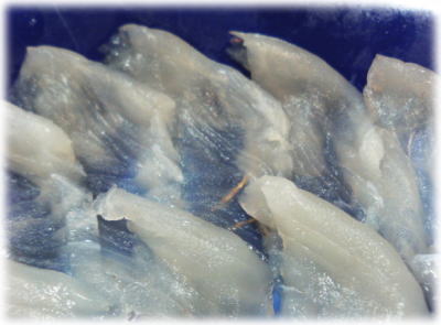 カワハギ ウマズラハギ の刺身 魚料理と簡単レシピ