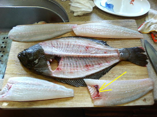 平目 ヒラメ のさばき方 おろし方 ５ 魚料理と簡単レシピ