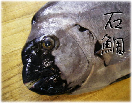 イシダイ イシガキダイ 石鯛 石垣鯛 魚料理と簡単レシピ
