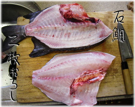 イシダイ 石鯛 のおろし方 ２ 二枚おろし 三枚おろし 魚料理と簡単レシピ