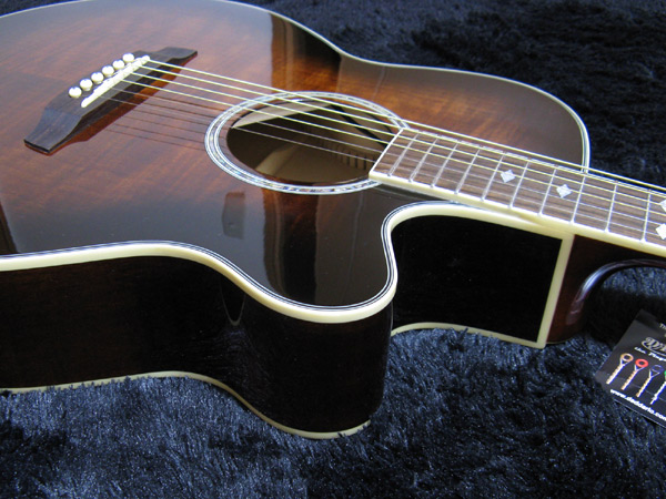お手軽価格で贈りやすい ギター Takamine Cooder エレアコ - ギター 