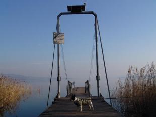 Lago di Varese genaio08