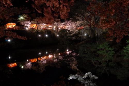 #001　夜桜