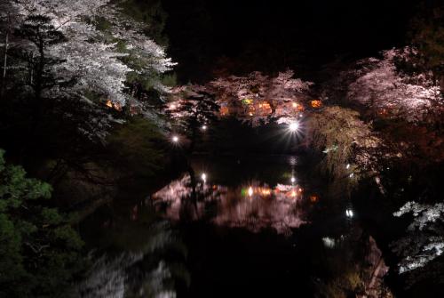 #004　夜桜