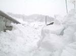 仮設が雪に埋まった