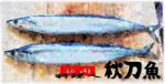 秋刀魚2.jpg