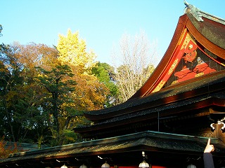 京都旅行12月 656