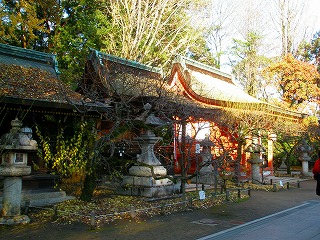 京都旅行12月 659