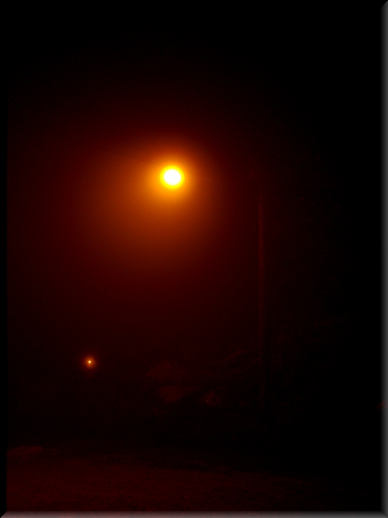 街灯と霧