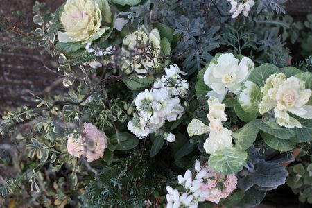 T’s Garden Healing Flowers‐葉ボタンとエリカのコラボ