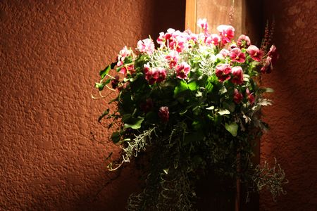 T’s Garden Healing Flowers‐P.ナチュレ・フロスティローズのハンギング(夜景)