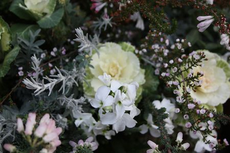 T’s Garden Healing Flowers‐葉ボタンとストックのコラボ大作